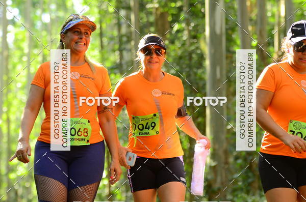 Buy your photos of the eventCORRIDA DOS EUCALIPTOS 2018 on Fotop