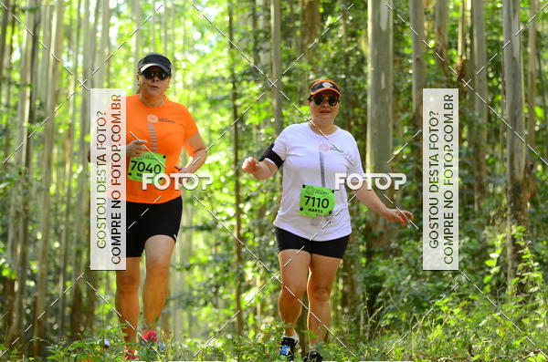 Buy your photos of the eventCORRIDA DOS EUCALIPTOS 2018 on Fotop