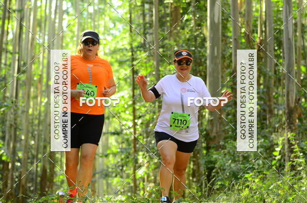 Buy your photos of the eventCORRIDA DOS EUCALIPTOS 2018 on Fotop