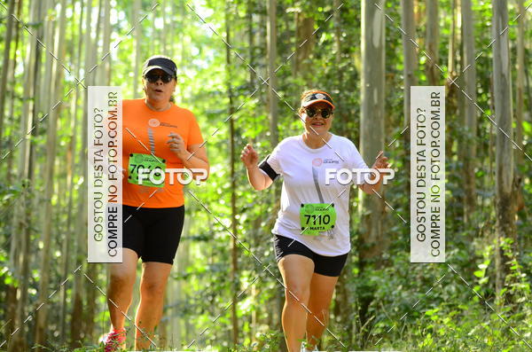 Buy your photos of the eventCORRIDA DOS EUCALIPTOS 2018 on Fotop