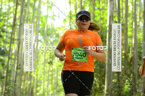 Buy your photos of the eventCORRIDA DOS EUCALIPTOS 2018 on Fotop