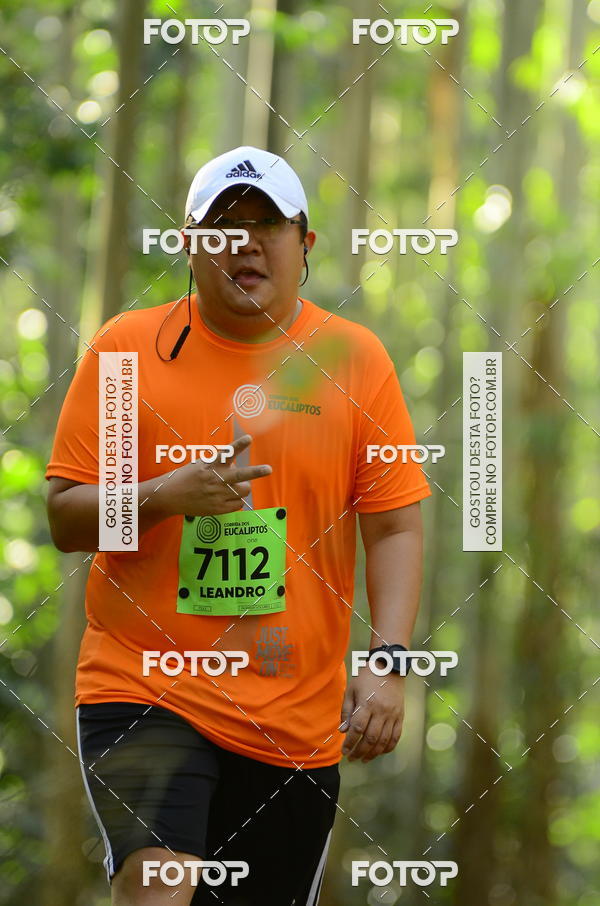 Buy your photos of the eventCORRIDA DOS EUCALIPTOS 2018 on Fotop