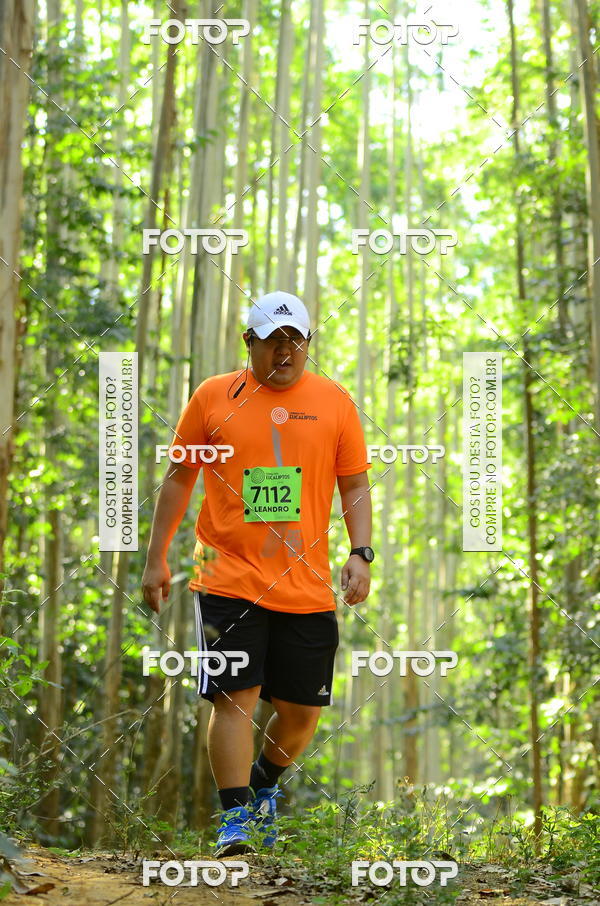 Buy your photos of the eventCORRIDA DOS EUCALIPTOS 2018 on Fotop