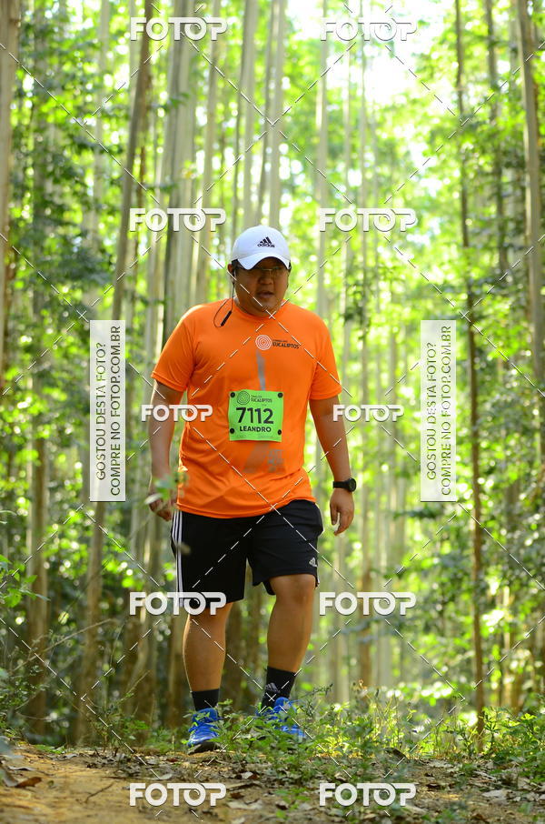 Buy your photos of the eventCORRIDA DOS EUCALIPTOS 2018 on Fotop