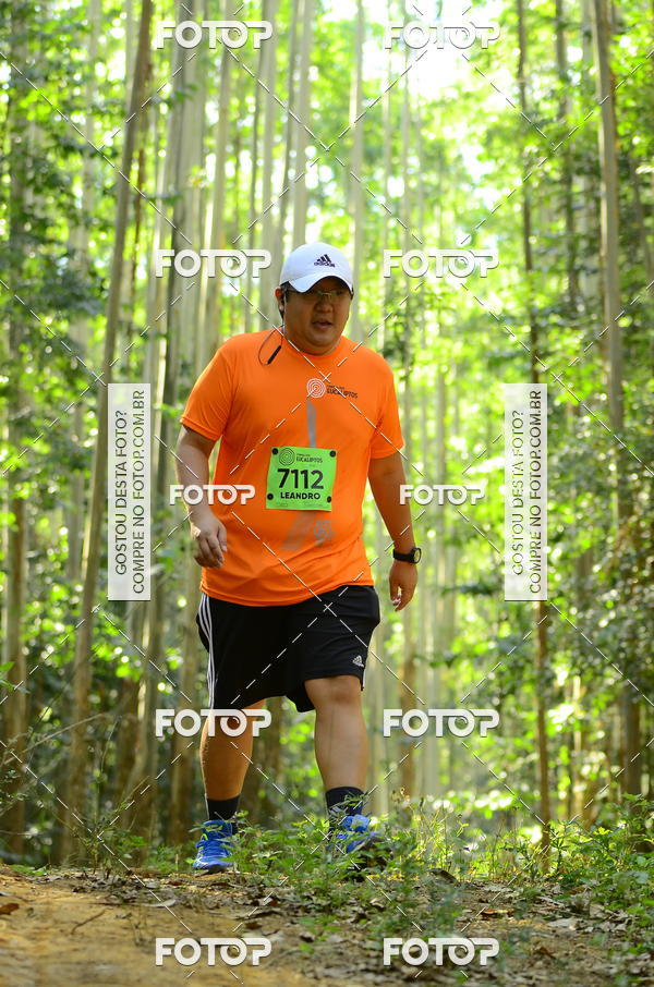 Buy your photos of the eventCORRIDA DOS EUCALIPTOS 2018 on Fotop