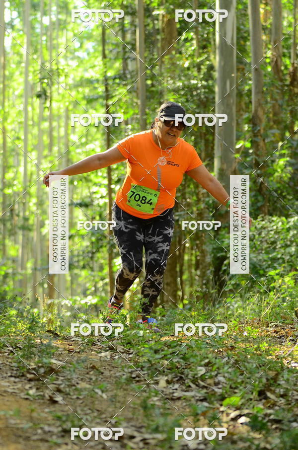 Buy your photos of the eventCORRIDA DOS EUCALIPTOS 2018 on Fotop
