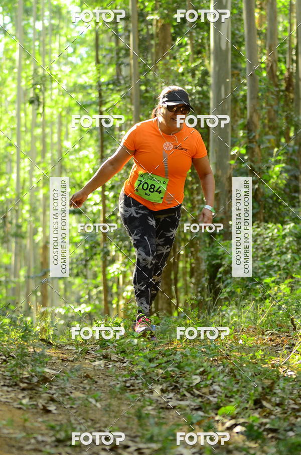 Buy your photos of the eventCORRIDA DOS EUCALIPTOS 2018 on Fotop