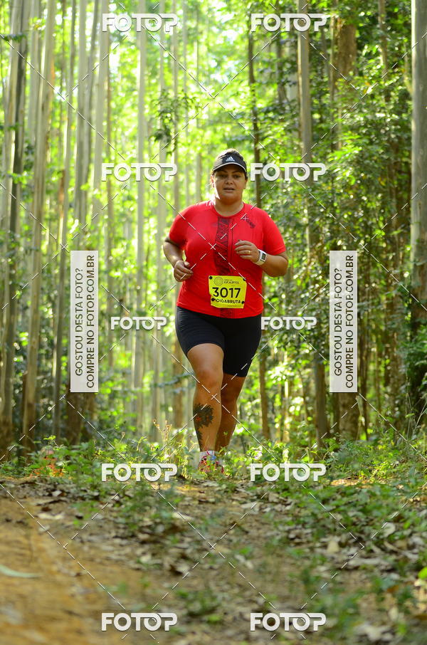 Buy your photos of the eventCORRIDA DOS EUCALIPTOS 2018 on Fotop