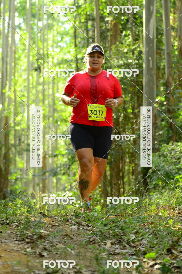 Buy your photos of the eventCORRIDA DOS EUCALIPTOS 2018 on Fotop