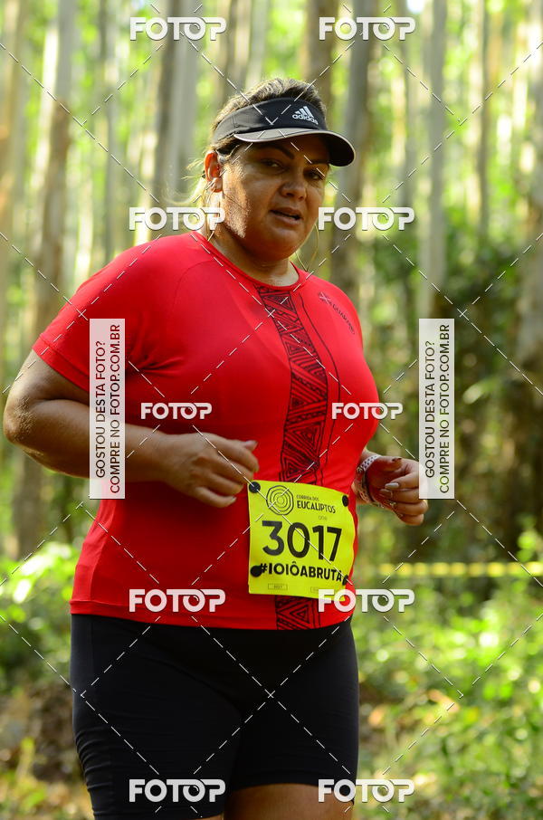 Buy your photos of the eventCORRIDA DOS EUCALIPTOS 2018 on Fotop