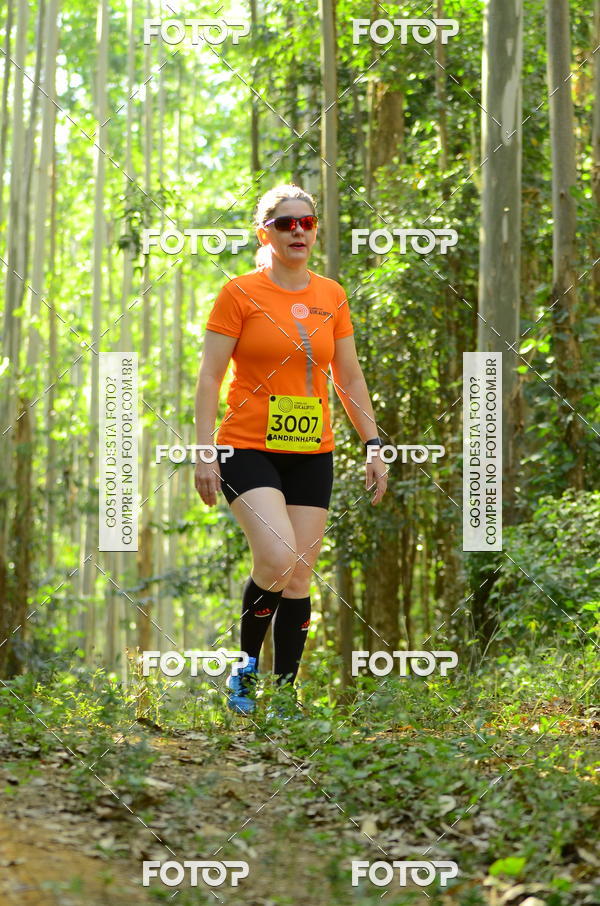 Buy your photos of the eventCORRIDA DOS EUCALIPTOS 2018 on Fotop