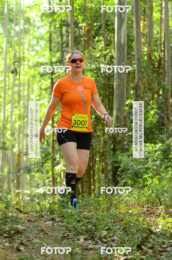 Buy your photos of the eventCORRIDA DOS EUCALIPTOS 2018 on Fotop