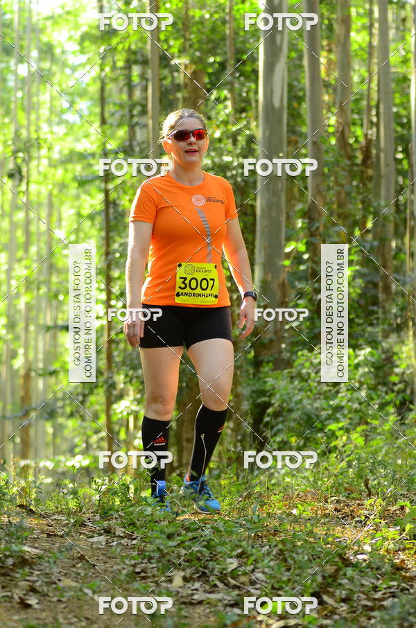 Buy your photos of the eventCORRIDA DOS EUCALIPTOS 2018 on Fotop