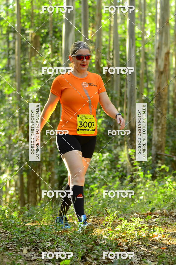 Buy your photos of the eventCORRIDA DOS EUCALIPTOS 2018 on Fotop