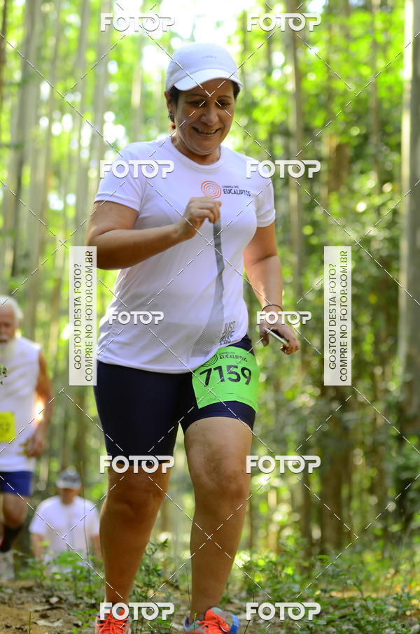 Buy your photos of the eventCORRIDA DOS EUCALIPTOS 2018 on Fotop