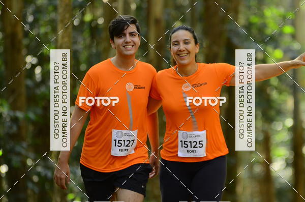 Buy your photos of the eventCORRIDA DOS EUCALIPTOS 2018 on Fotop