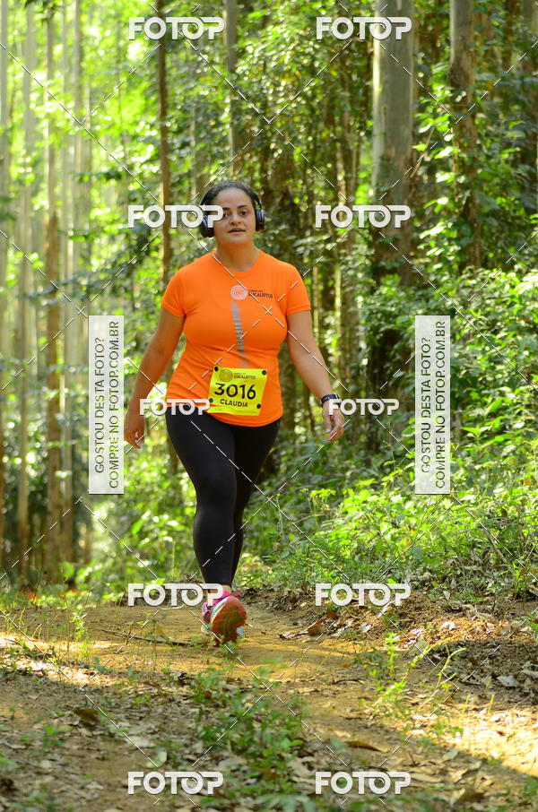 Buy your photos of the eventCORRIDA DOS EUCALIPTOS 2018 on Fotop