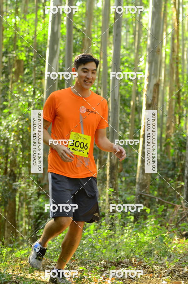 Buy your photos of the eventCORRIDA DOS EUCALIPTOS 2018 on Fotop