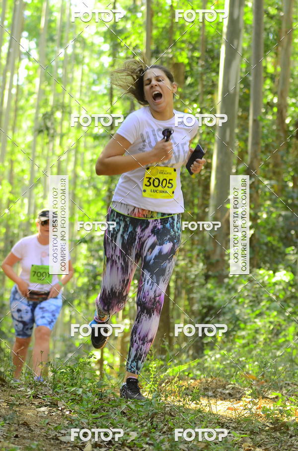 Buy your photos of the eventCORRIDA DOS EUCALIPTOS 2018 on Fotop