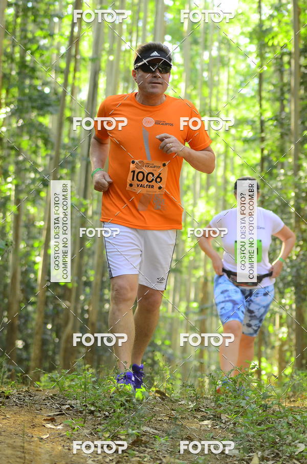 Buy your photos of the eventCORRIDA DOS EUCALIPTOS 2018 on Fotop