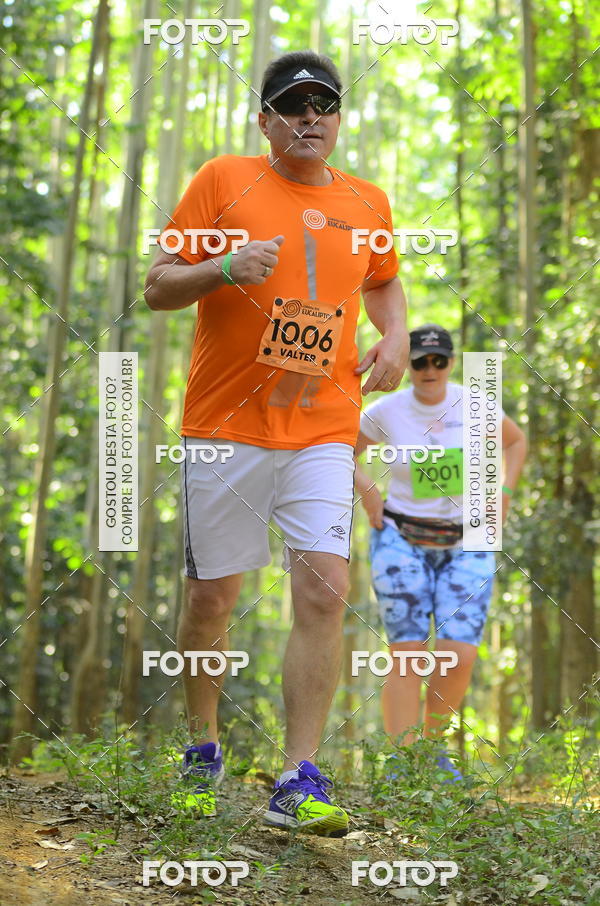 Buy your photos of the eventCORRIDA DOS EUCALIPTOS 2018 on Fotop