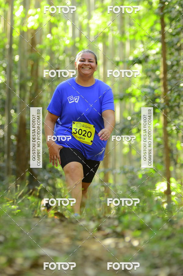 Buy your photos of the eventCORRIDA DOS EUCALIPTOS 2018 on Fotop