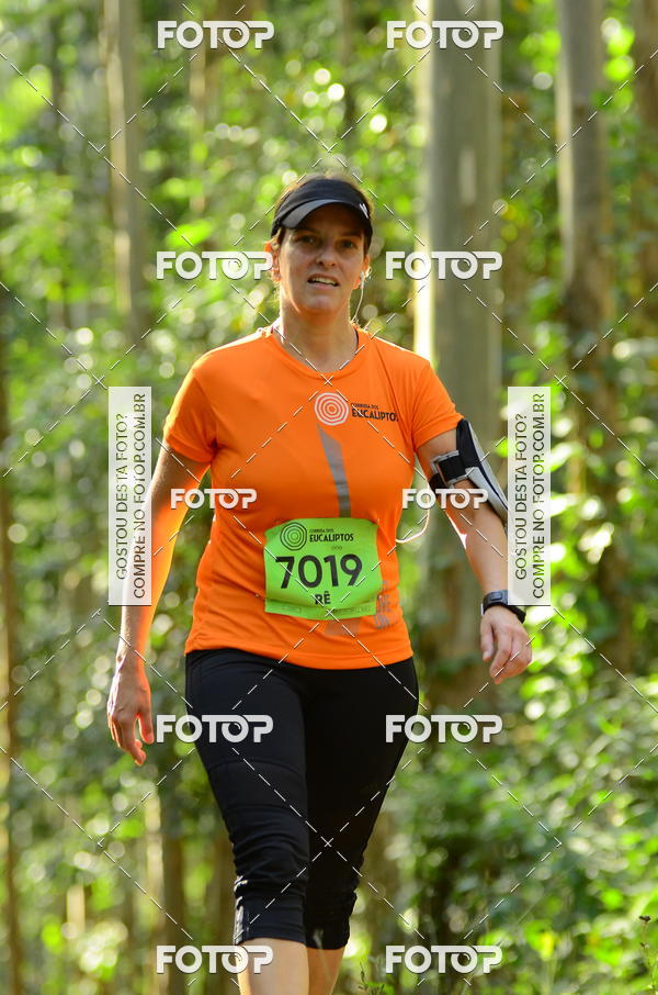 Buy your photos of the eventCORRIDA DOS EUCALIPTOS 2018 on Fotop