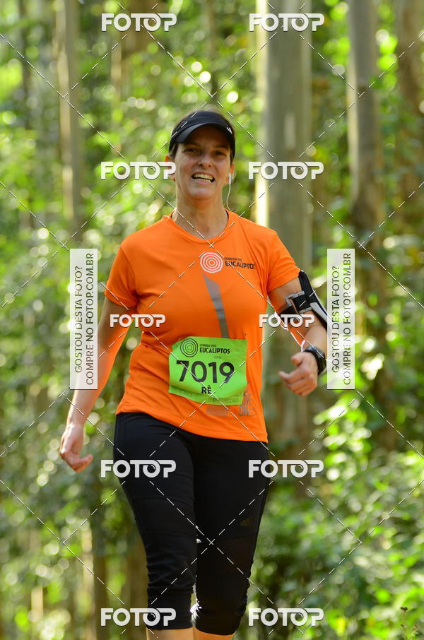 Buy your photos of the eventCORRIDA DOS EUCALIPTOS 2018 on Fotop