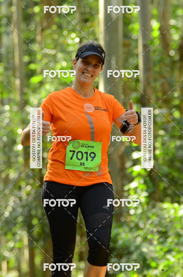 Buy your photos of the eventCORRIDA DOS EUCALIPTOS 2018 on Fotop