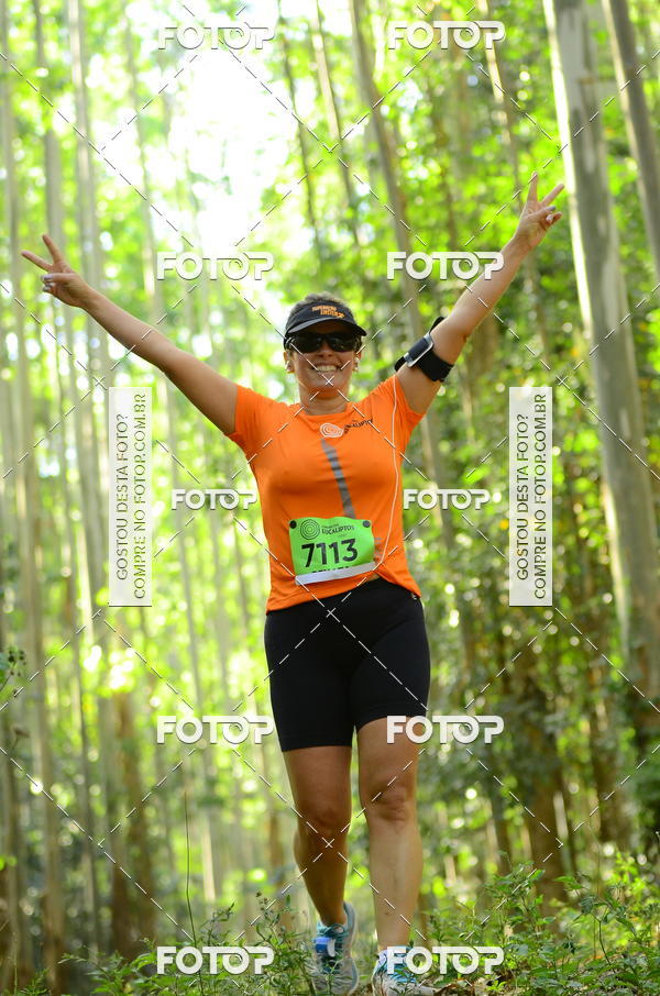 Buy your photos of the eventCORRIDA DOS EUCALIPTOS 2018 on Fotop