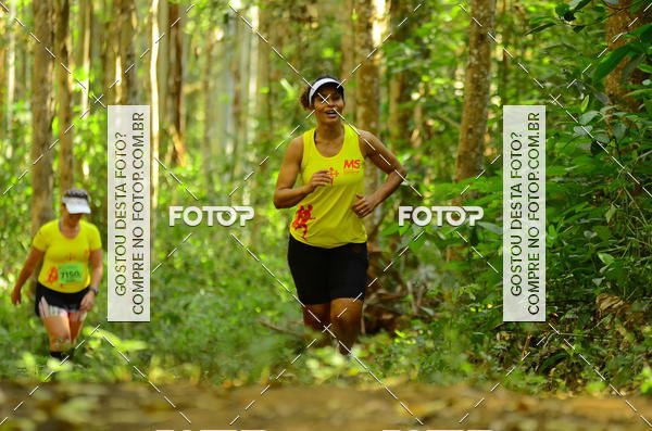 Buy your photos of the eventCORRIDA DOS EUCALIPTOS 2018 on Fotop