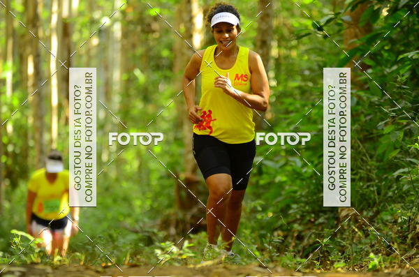 Buy your photos of the eventCORRIDA DOS EUCALIPTOS 2018 on Fotop