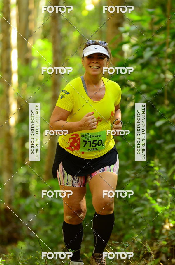 Buy your photos of the eventCORRIDA DOS EUCALIPTOS 2018 on Fotop