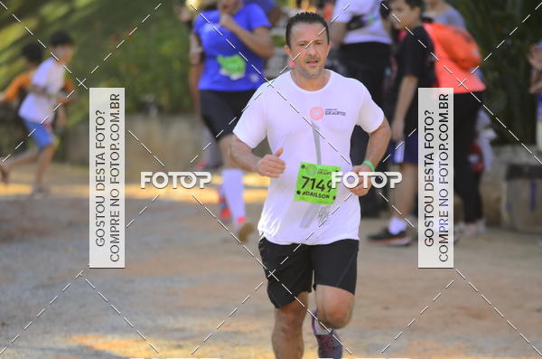 Buy your photos of the eventCORRIDA DOS EUCALIPTOS 2018 on Fotop