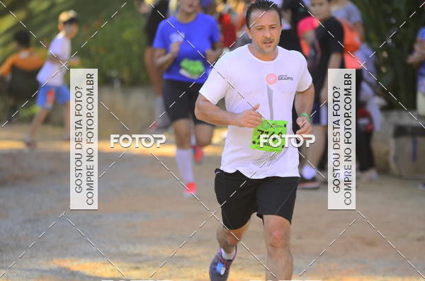 Buy your photos of the eventCORRIDA DOS EUCALIPTOS 2018 on Fotop