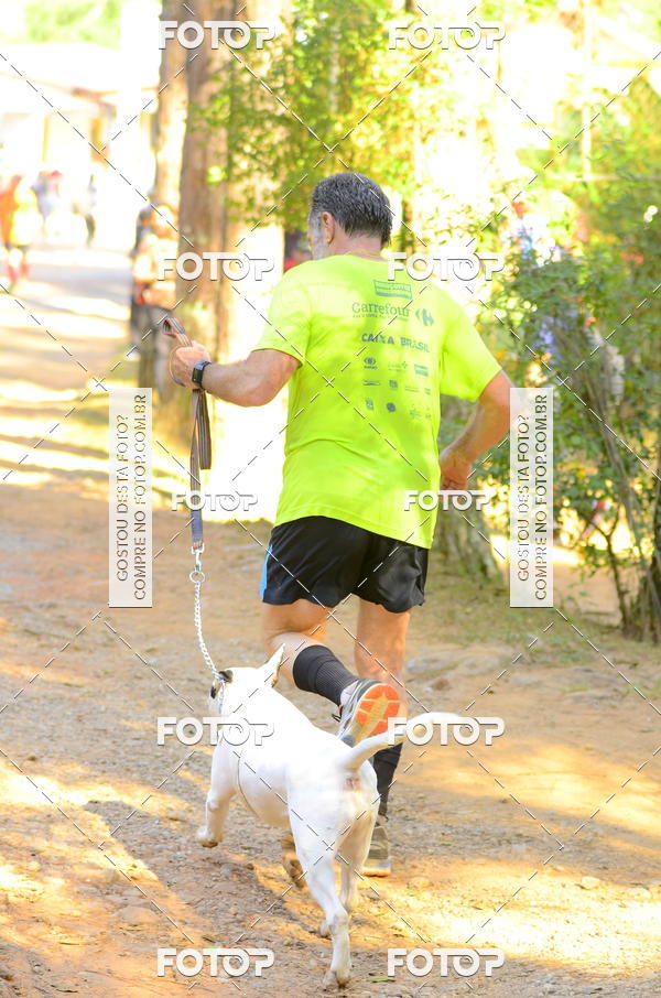 Buy your photos of the eventCORRIDA DOS EUCALIPTOS 2018 on Fotop