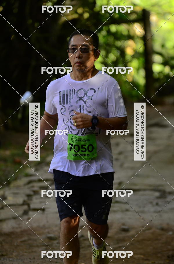 Buy your photos of the eventCORRIDA DOS EUCALIPTOS 2018 on Fotop