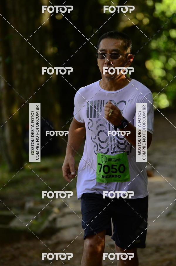 Buy your photos of the eventCORRIDA DOS EUCALIPTOS 2018 on Fotop