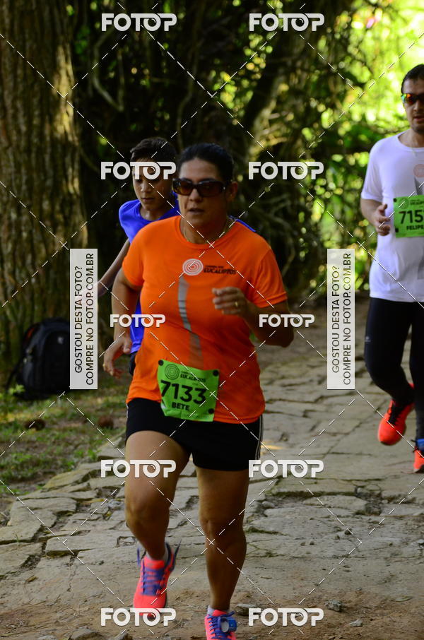 Buy your photos of the eventCORRIDA DOS EUCALIPTOS 2018 on Fotop