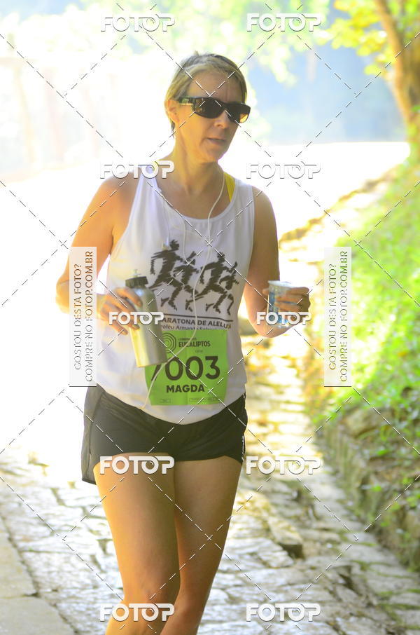 Buy your photos of the eventCORRIDA DOS EUCALIPTOS 2018 on Fotop