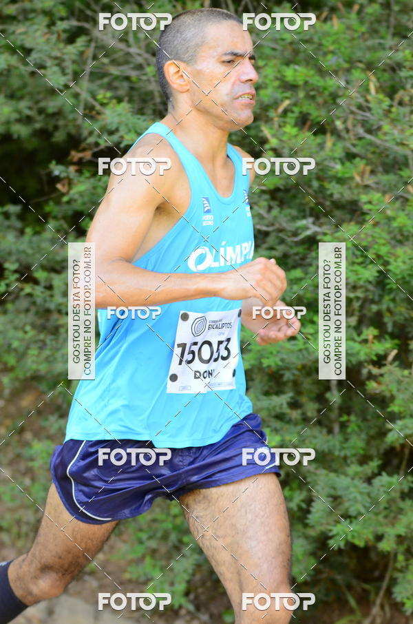 Buy your photos of the eventCORRIDA DOS EUCALIPTOS 2018 on Fotop