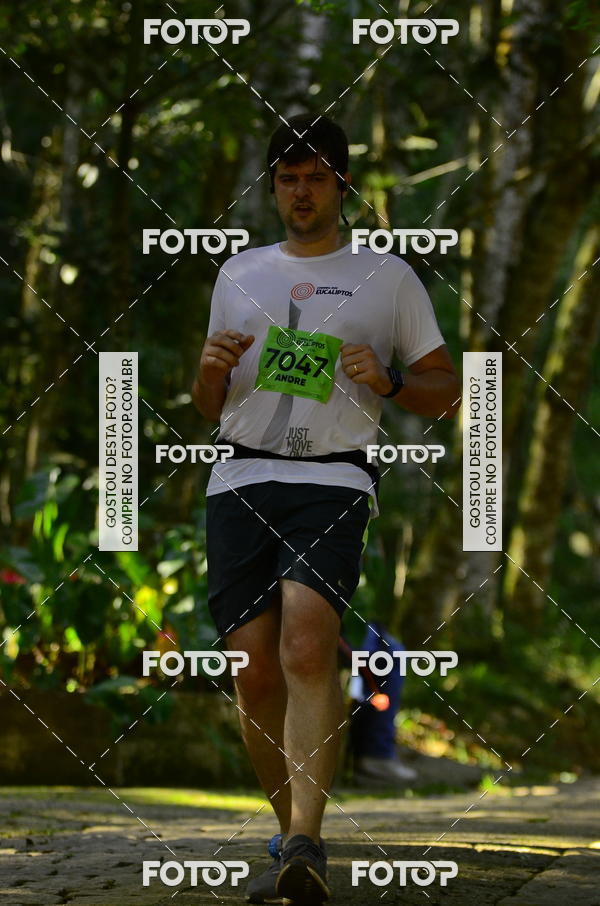 Buy your photos of the eventCORRIDA DOS EUCALIPTOS 2018 on Fotop