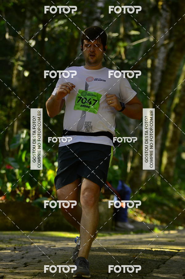 Buy your photos of the eventCORRIDA DOS EUCALIPTOS 2018 on Fotop