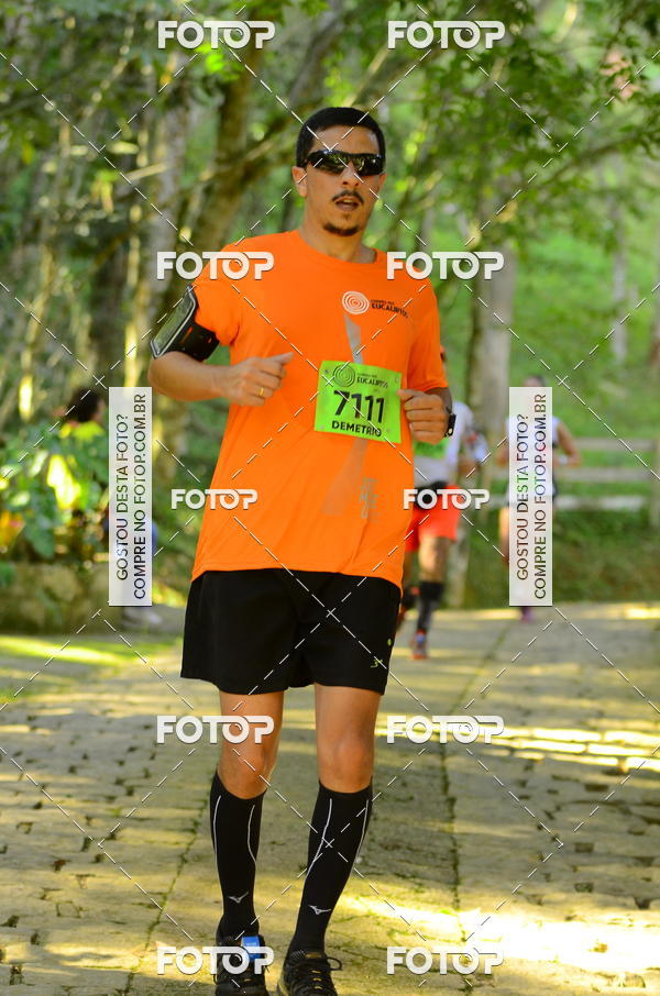 Buy your photos of the eventCORRIDA DOS EUCALIPTOS 2018 on Fotop