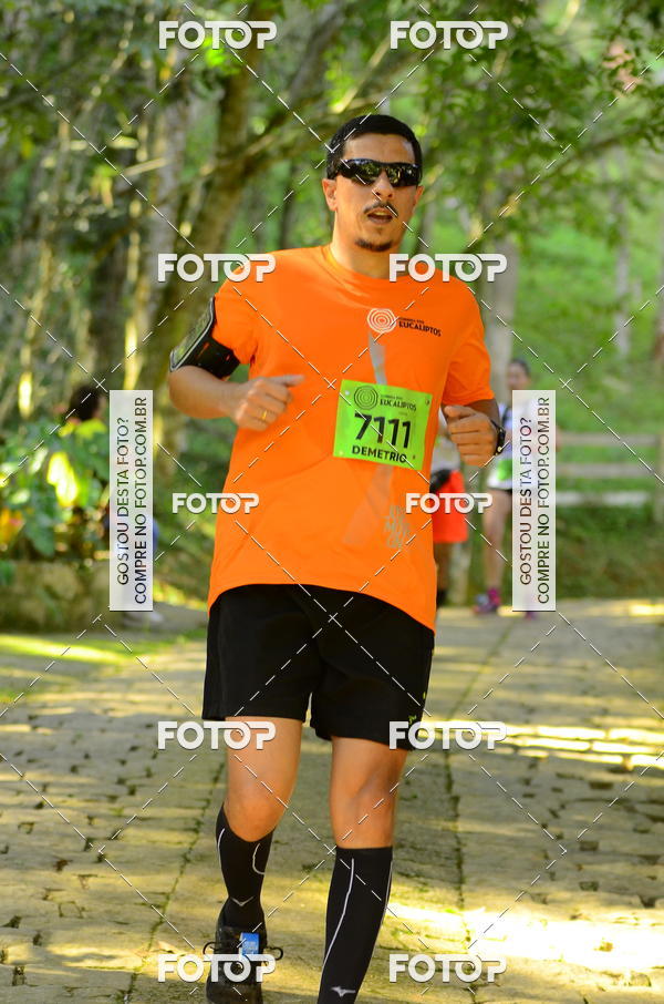 Buy your photos of the eventCORRIDA DOS EUCALIPTOS 2018 on Fotop