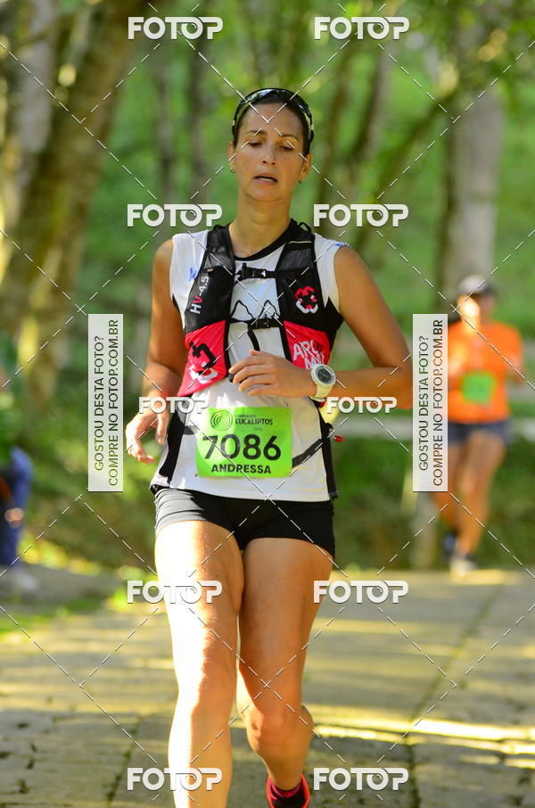 Buy your photos of the eventCORRIDA DOS EUCALIPTOS 2018 on Fotop