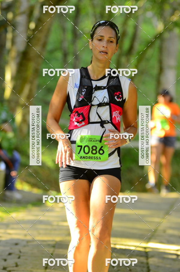 Buy your photos of the eventCORRIDA DOS EUCALIPTOS 2018 on Fotop