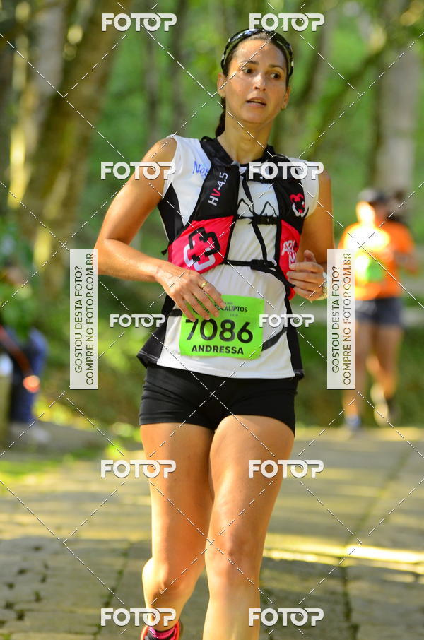 Buy your photos of the eventCORRIDA DOS EUCALIPTOS 2018 on Fotop