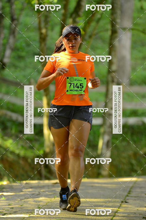 Buy your photos of the eventCORRIDA DOS EUCALIPTOS 2018 on Fotop