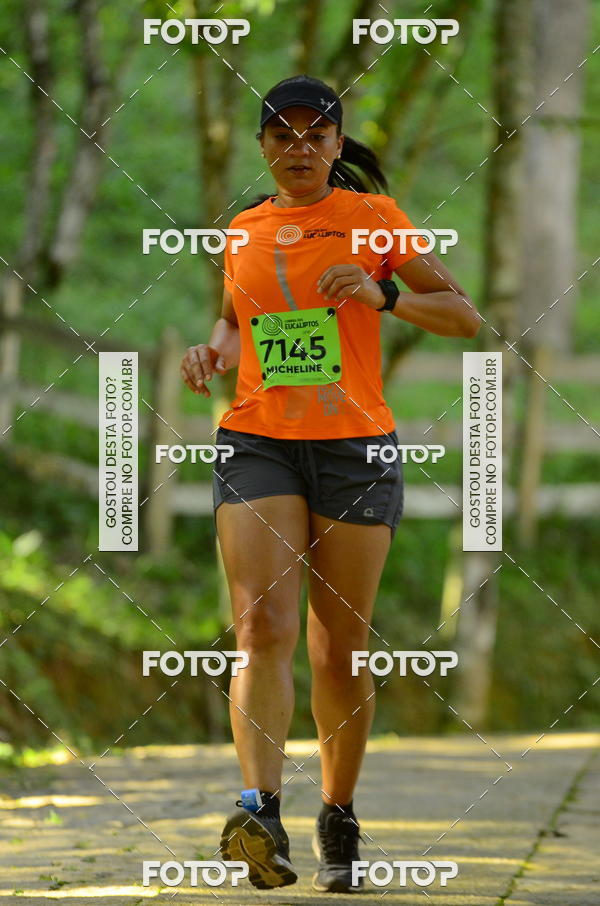 Buy your photos of the eventCORRIDA DOS EUCALIPTOS 2018 on Fotop